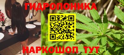 амф Анжеро-Судженск