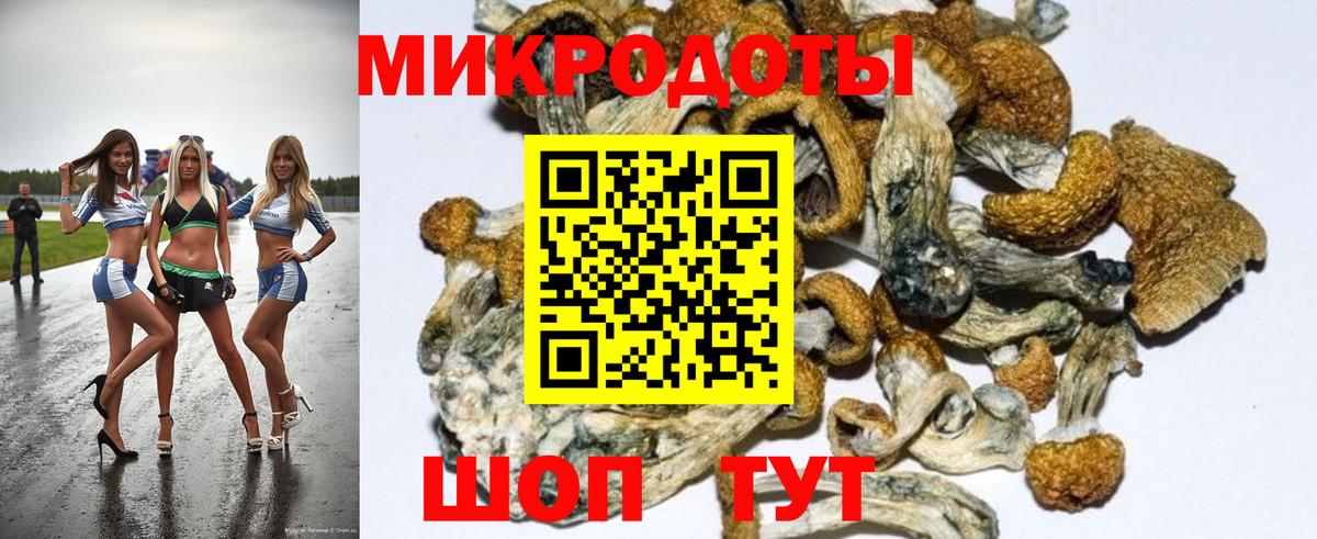 Выкса  Галлюциногенные грибы мухоморы  Псилоцибиновые грибы мицелий  Вход с VPN 